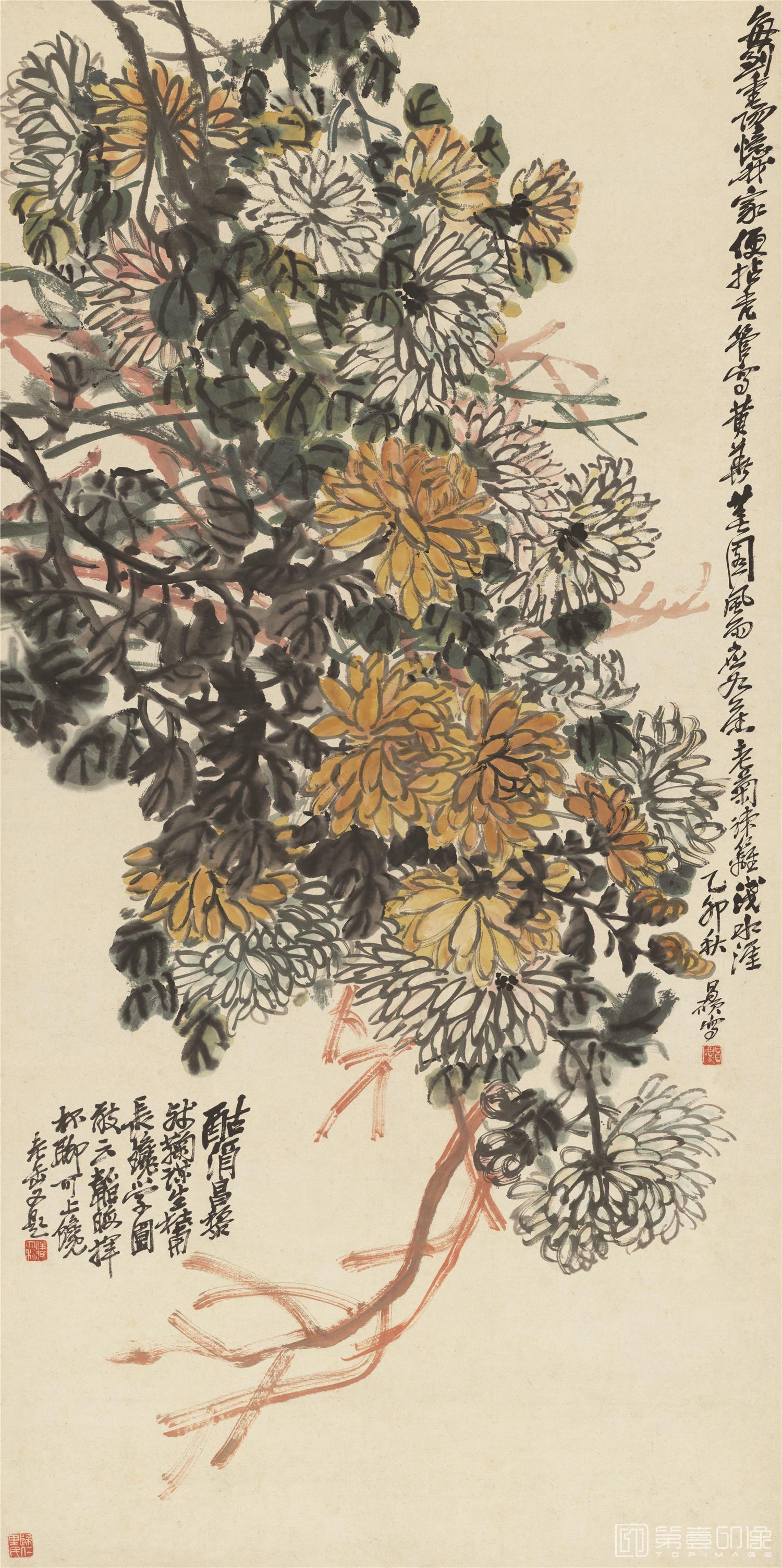 国画-老菊疏篱图立轴纸本-68×132cm