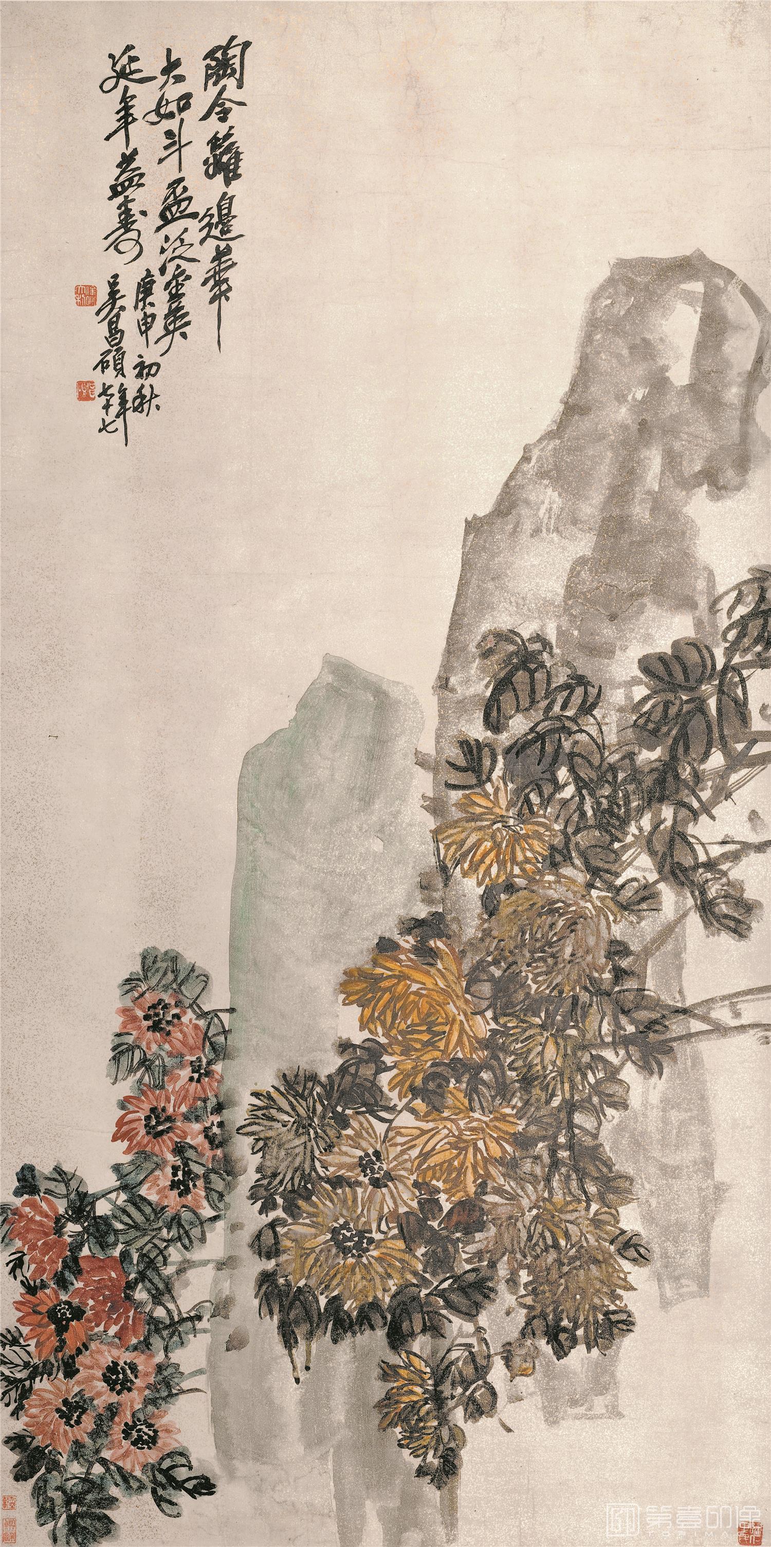 国画-菊花图纸本-30×60cm
