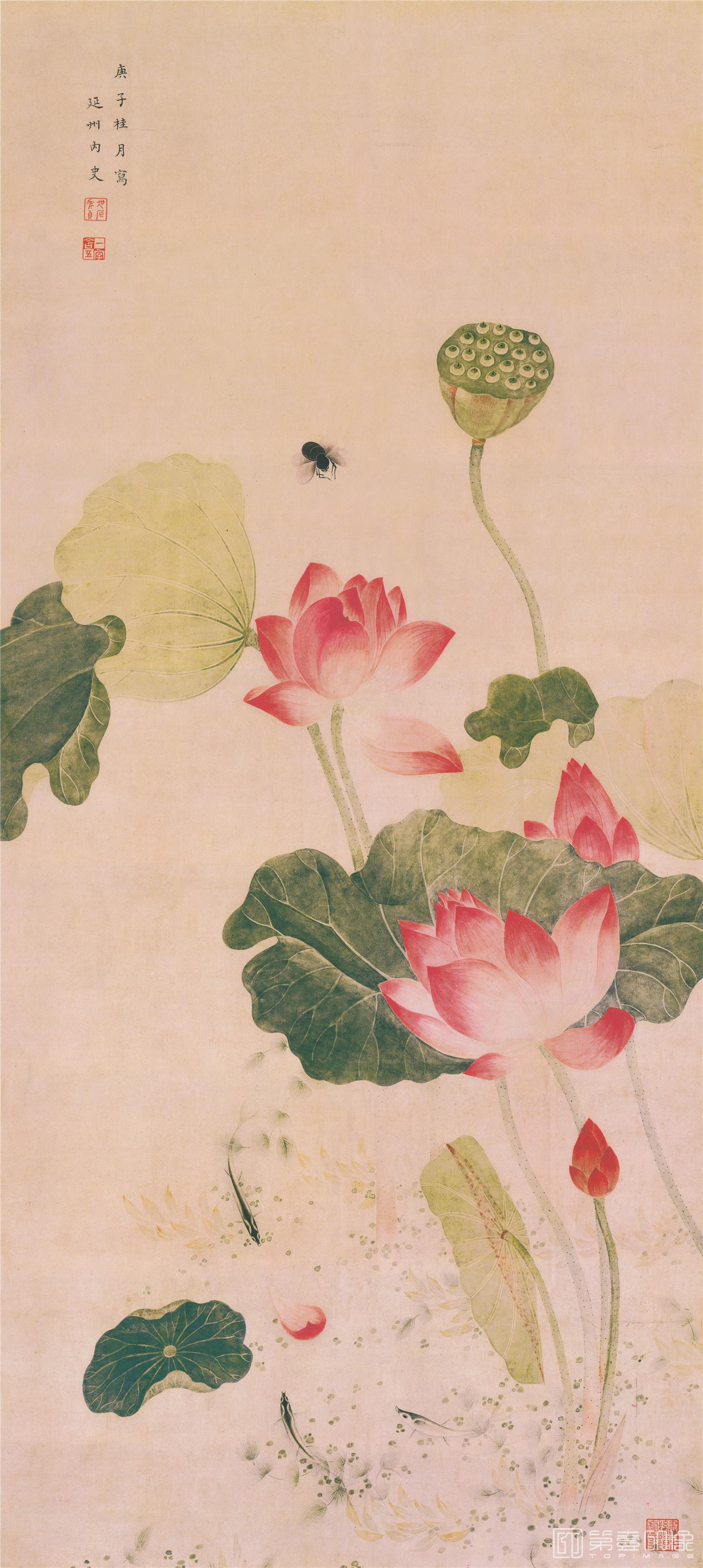 国画-荷花图立轴纸本-78×35