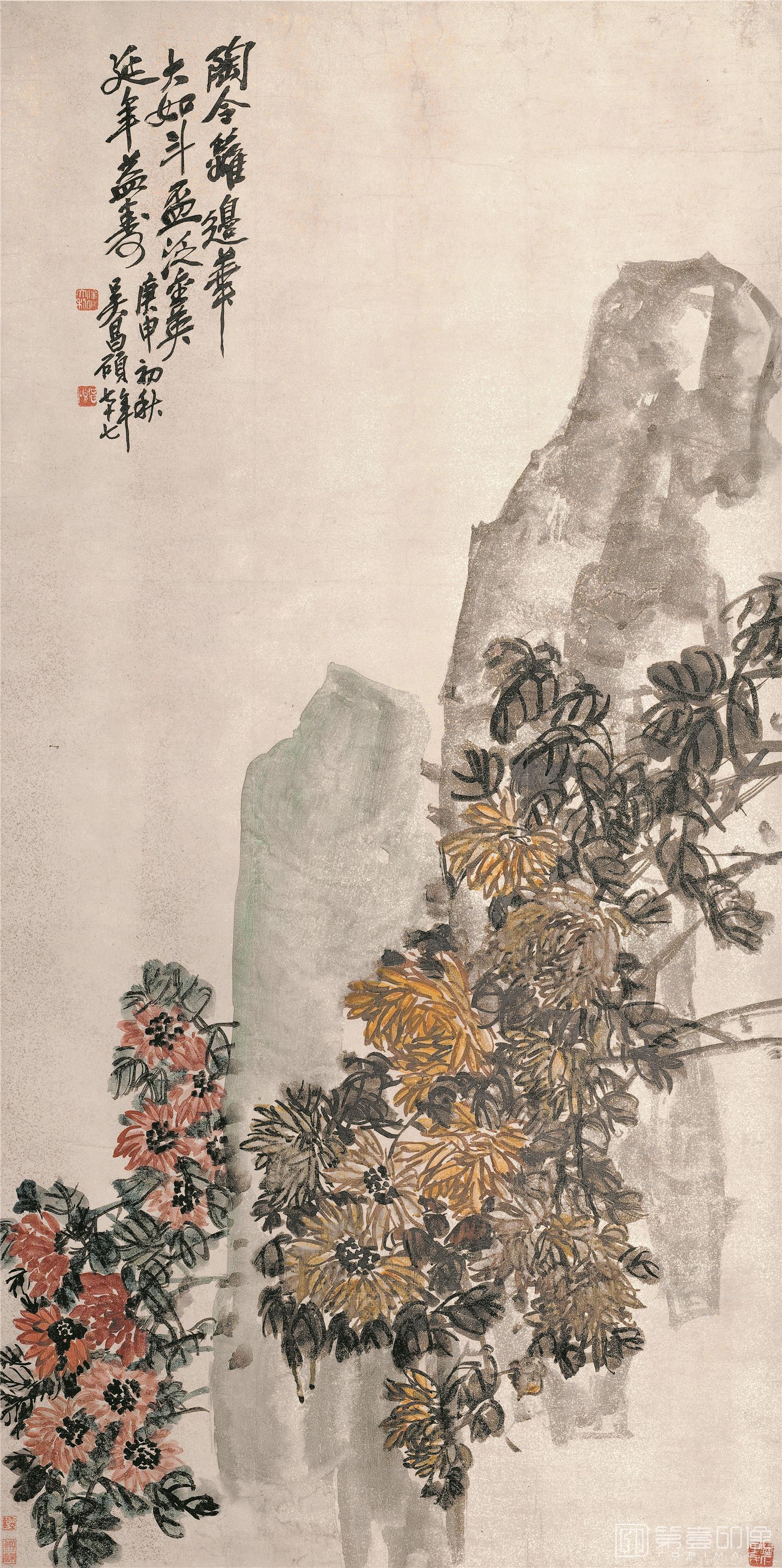 国画-菊花图立轴纸本-26×53