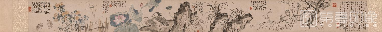 国画-冷艳幽香图全卷纸本-34×361