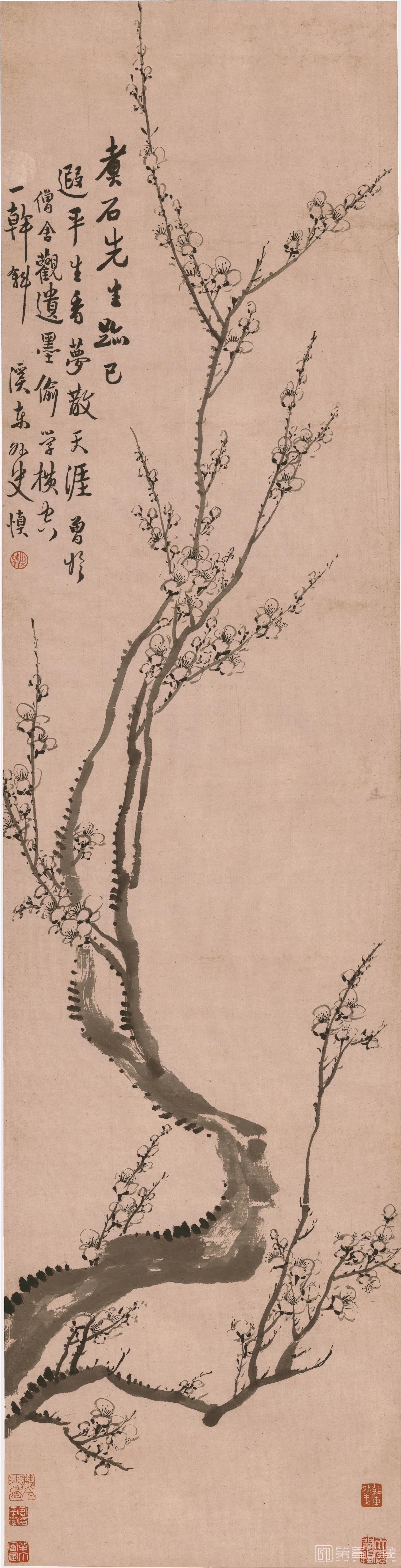 国画-墨梅图立轴纸本-31×122