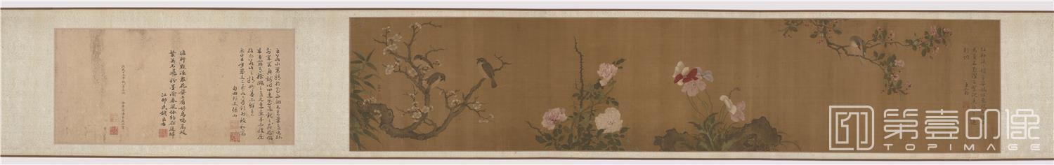 国画-花鸟图卷绢本-32×1565