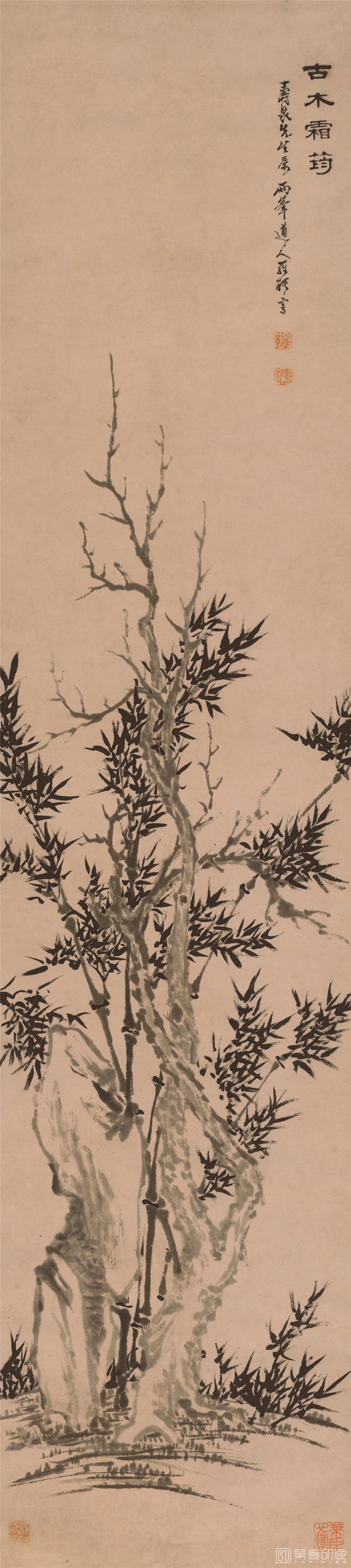 国画-古木霜筠图立轴纸本-35×155