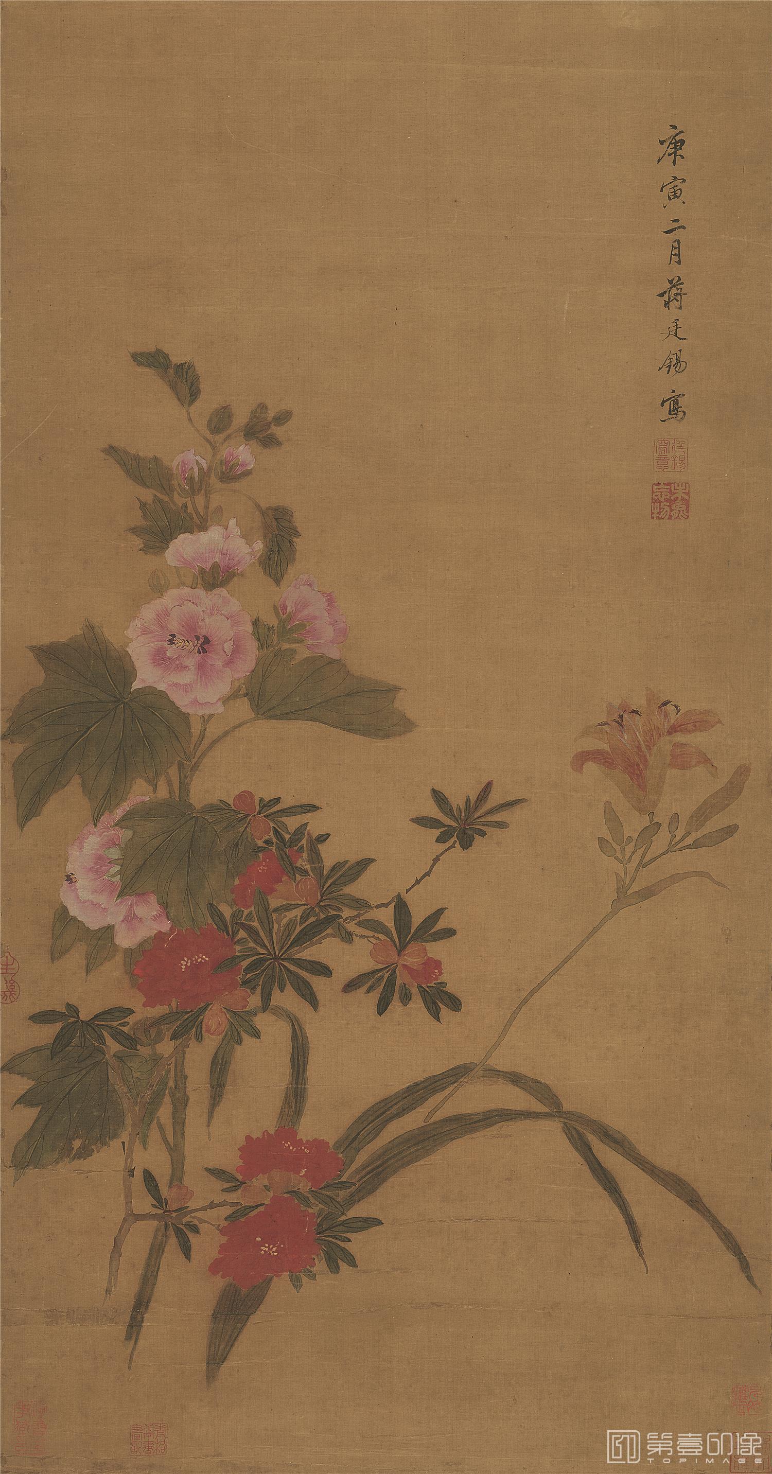 国画-蜀葵宣花图绢本-76×39
