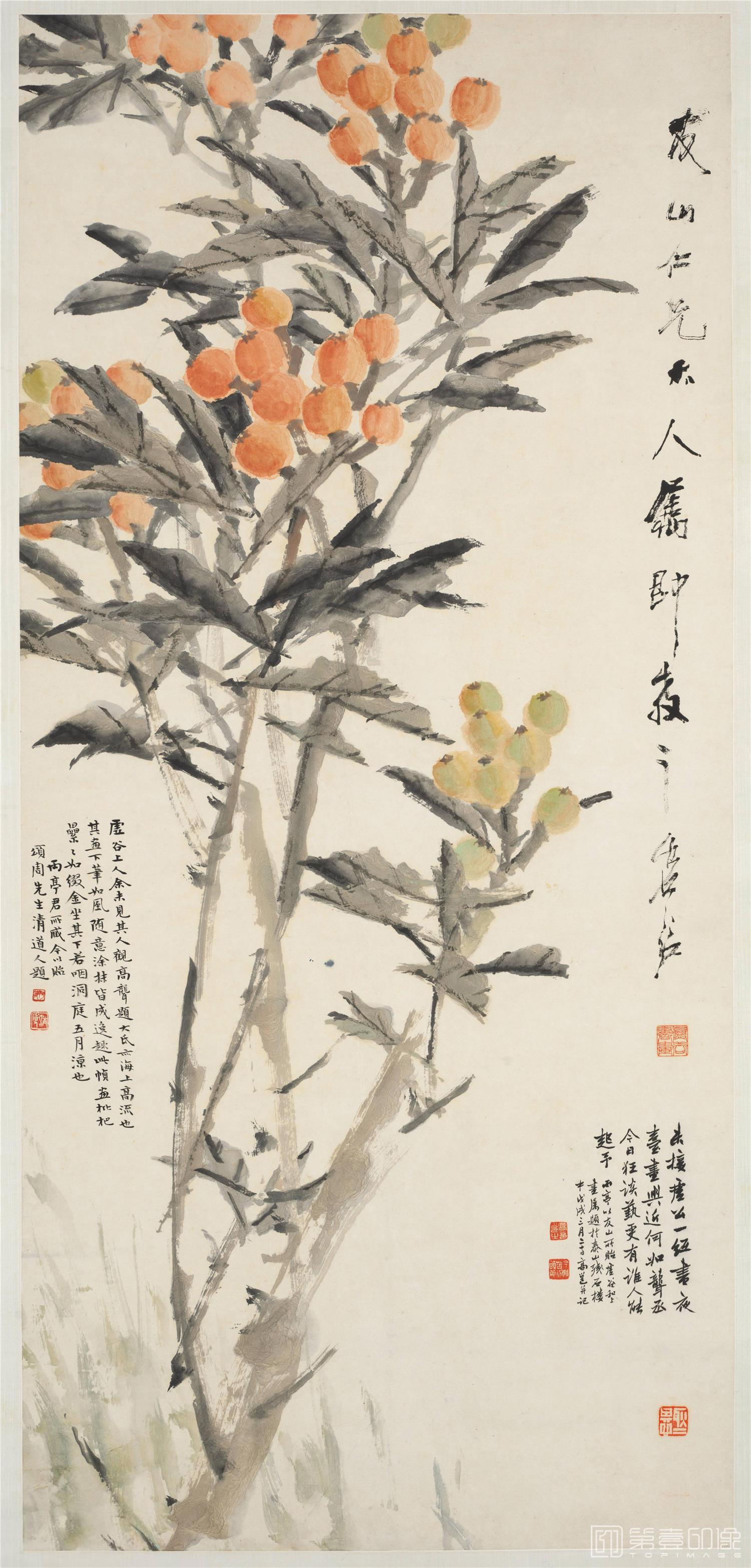 国画-枇杷图轴纸本-1125×52cm