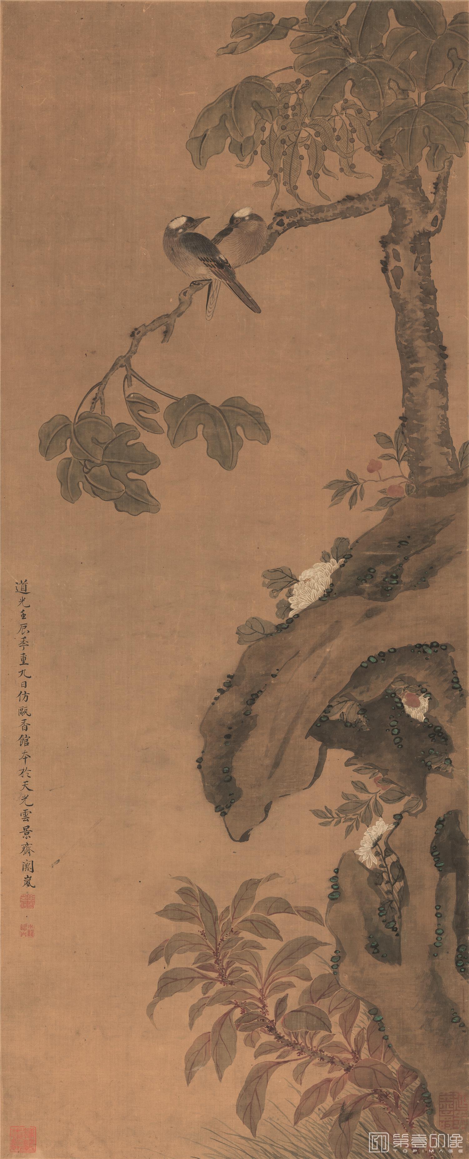 国画-花鸟梧桐白头图立轴绢本 407×1006