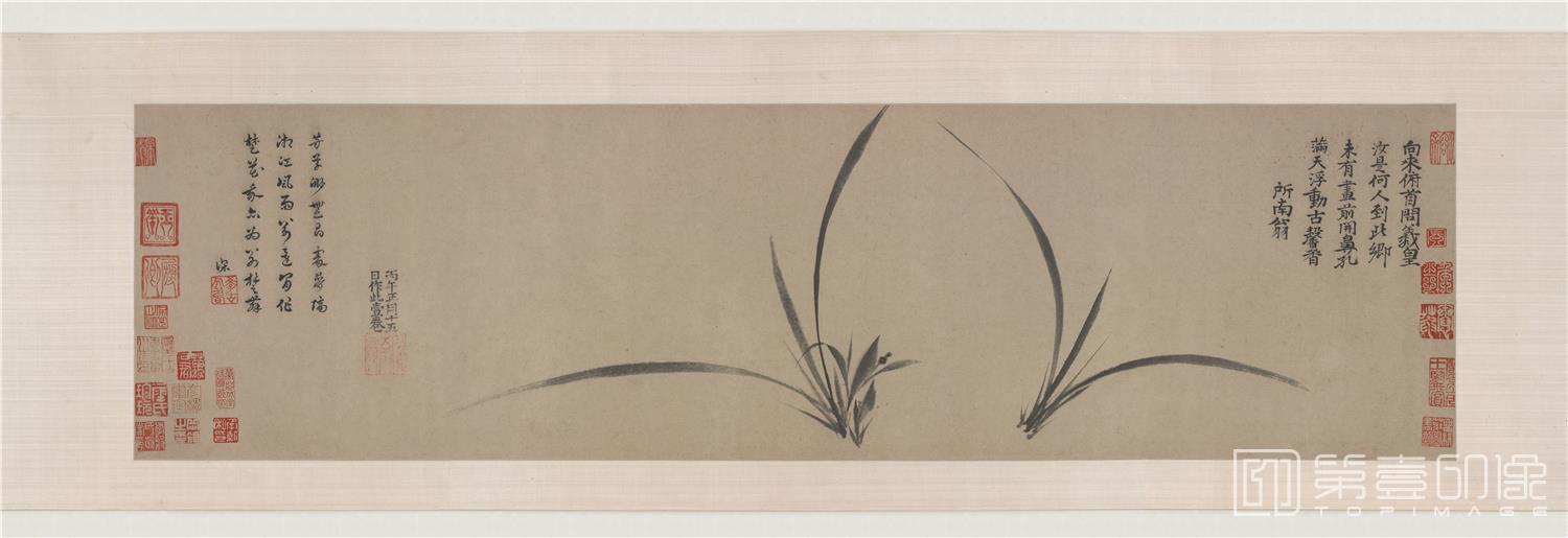 国画-墨兰图全卷纸本-33.9x480cm-分段-画心