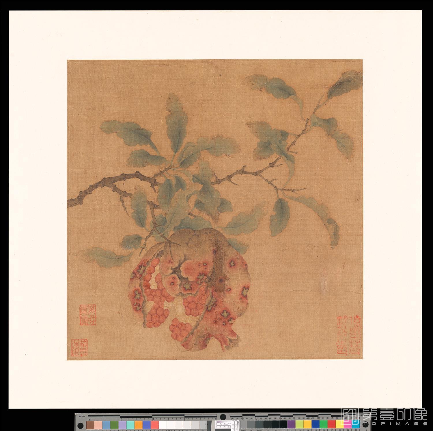 国画-石榴图页-23.5x23.5cm-01
