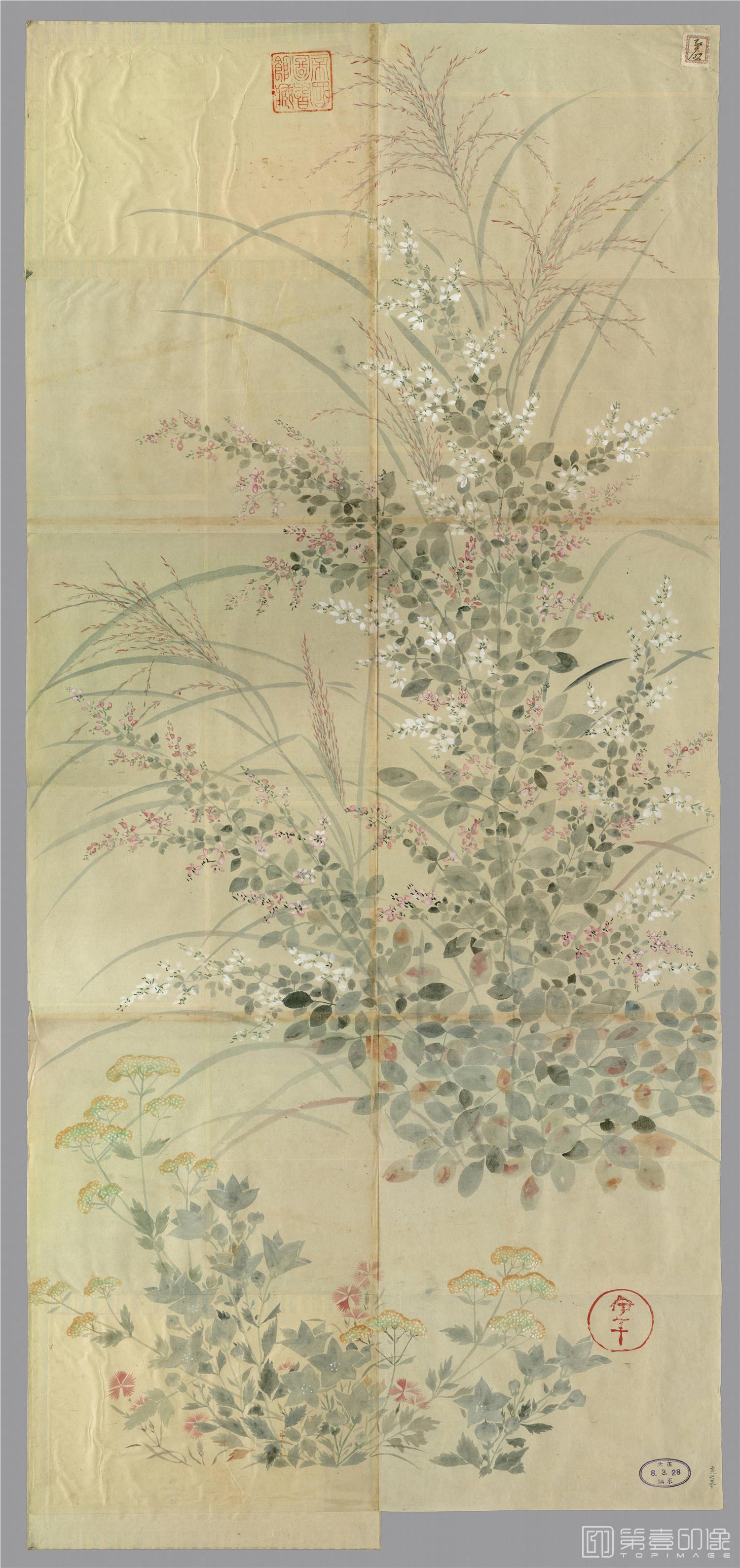 国画-表屋宗达-草花粉本-花卉图-56x122cm
