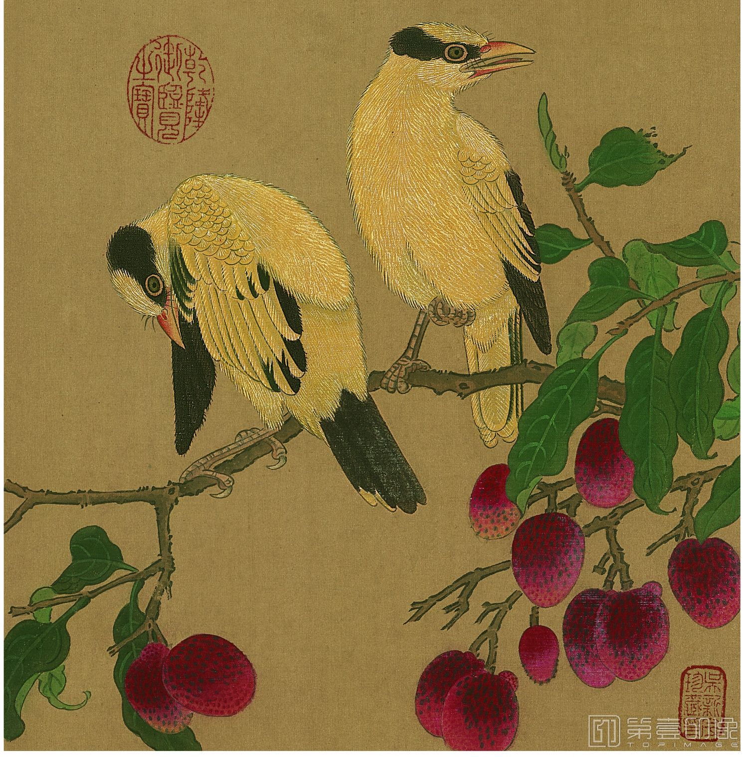 国画-荔枝