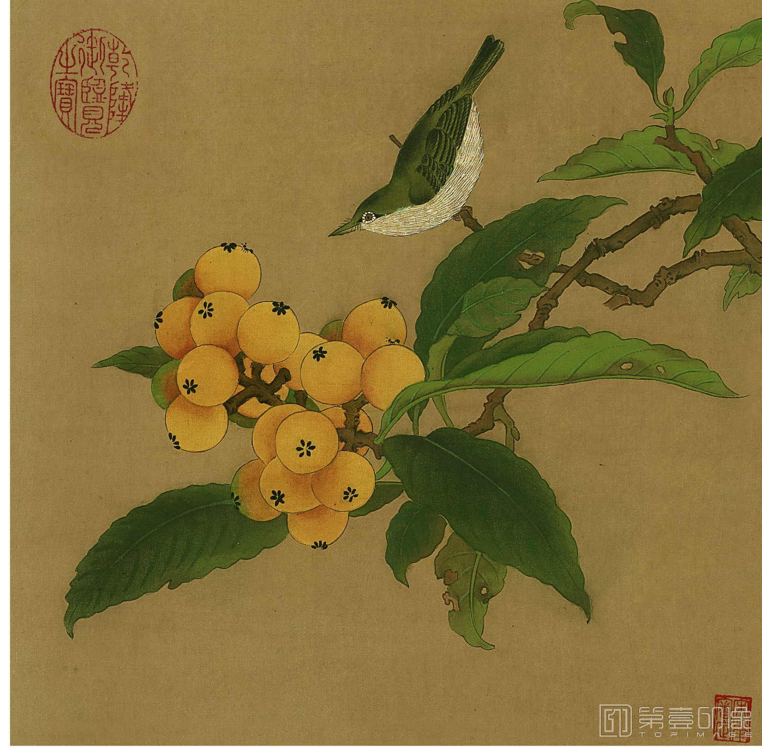 国画-果与鸟