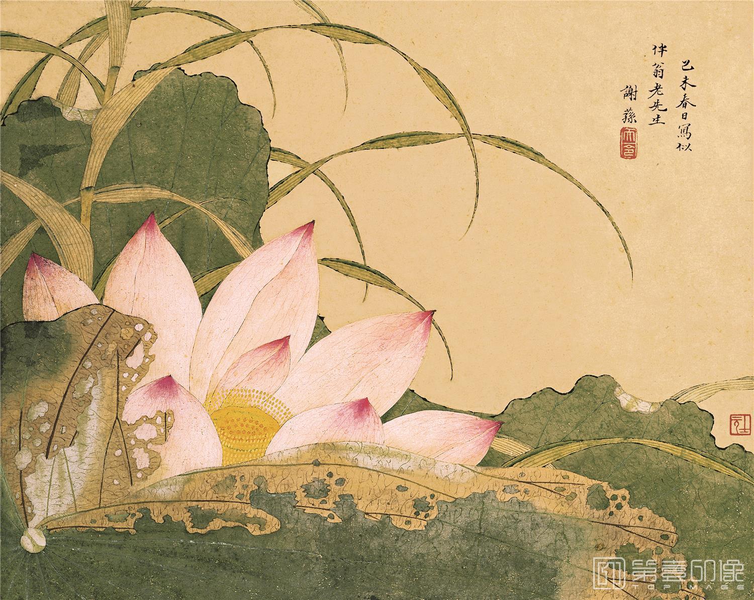 国画-荷花图-31x25cm