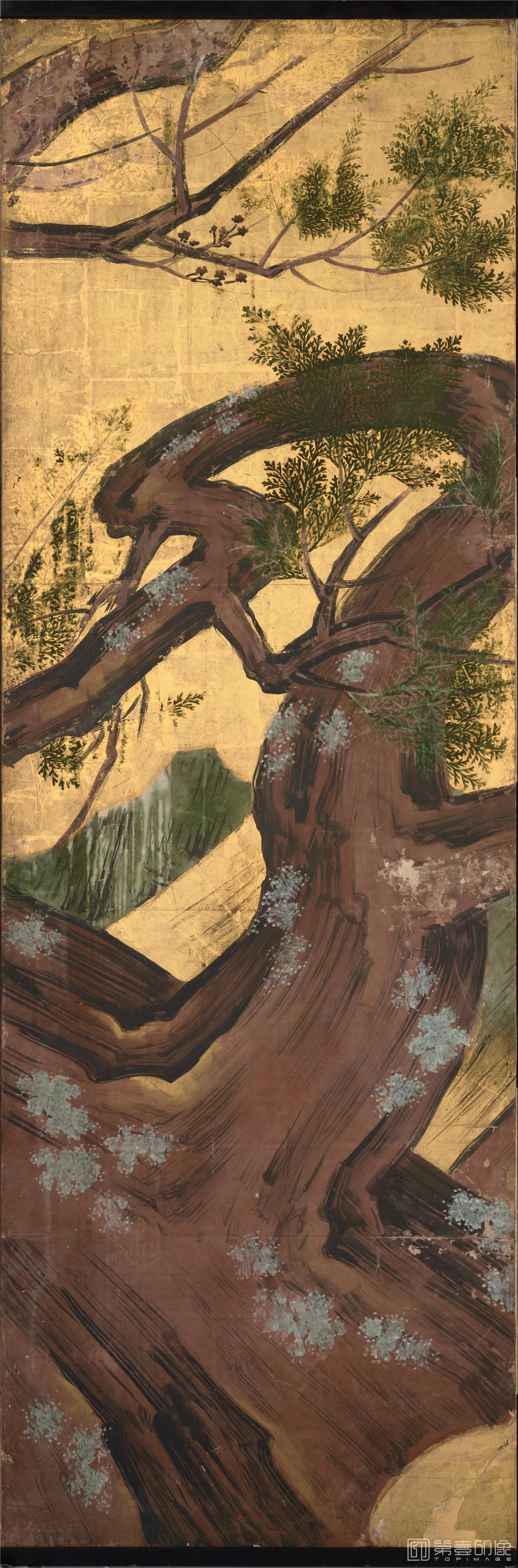 水彩画-日本安土桃山时代-狩野永德-桧图屏风-分屏-170×460.5cm-02