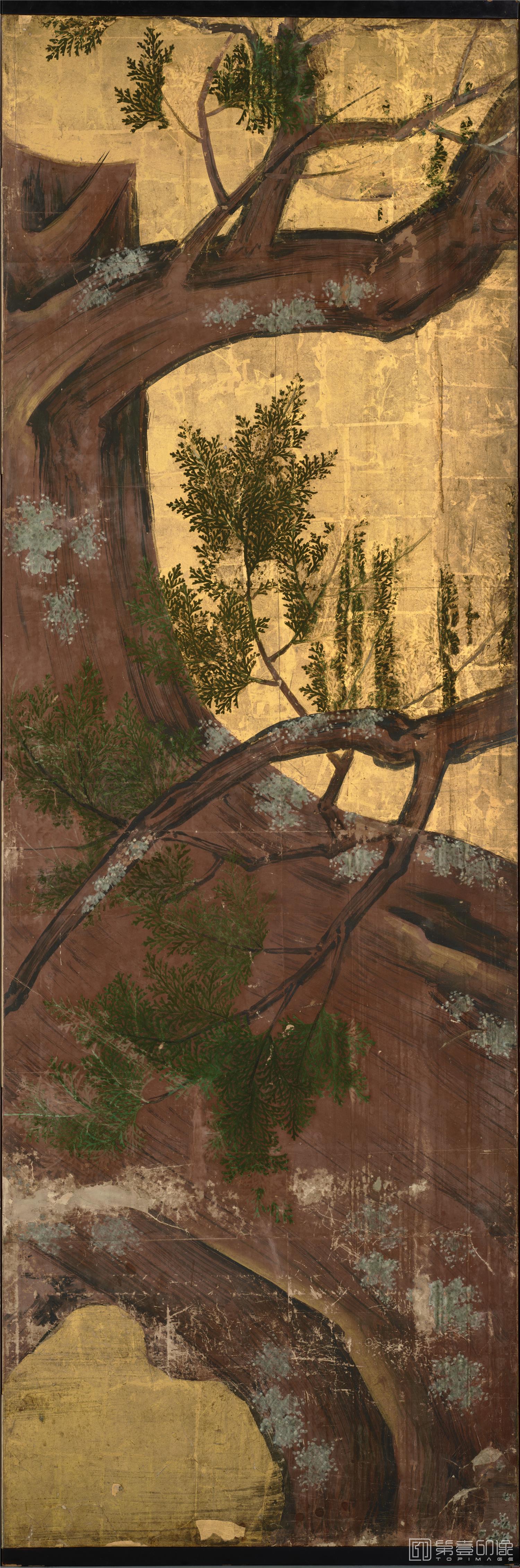 水彩画-日本安土桃山时代-狩野永德-桧图屏风-分屏-170×460.5cm-03