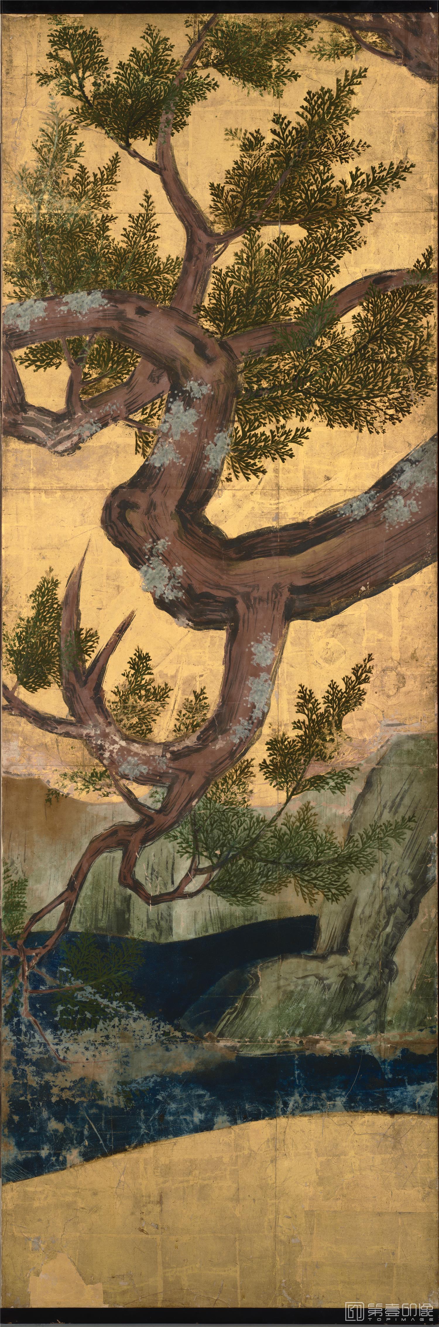 水彩画-日本安土桃山时代-狩野永德-桧图屏风-分屏-170×460.5cm-05