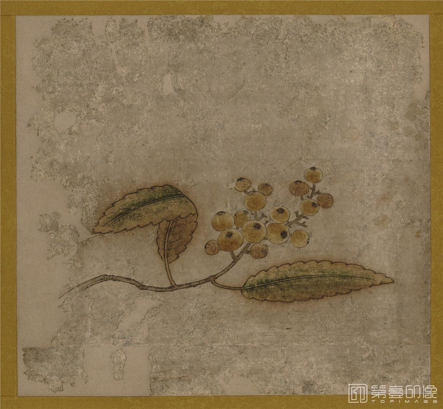 水彩画-日本室町时代-狩野元信-蔬果图-枇杷-40.1×43.8cm-01