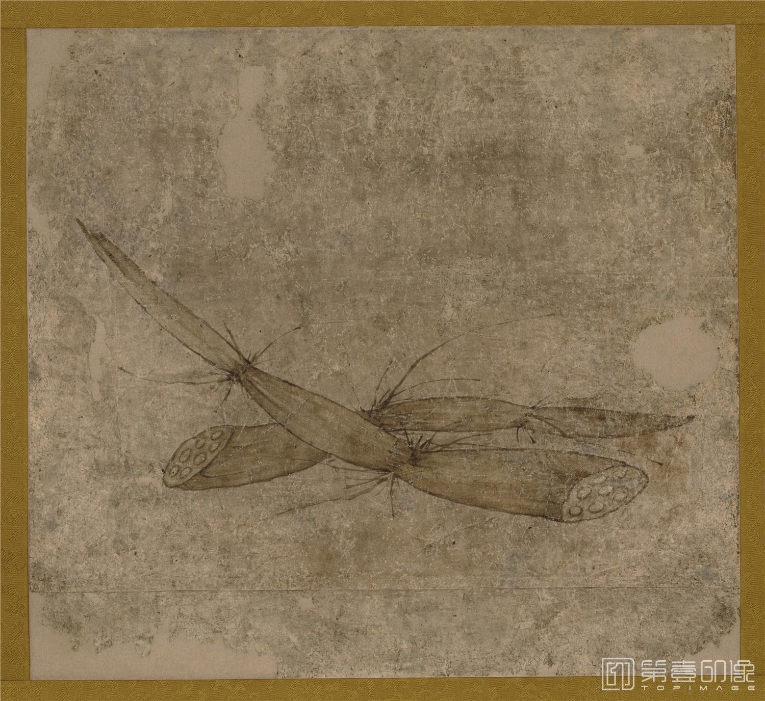 水彩画-日本室町时代-狩野元信-蔬果图-莲藕-39.9x43.8cm-01
