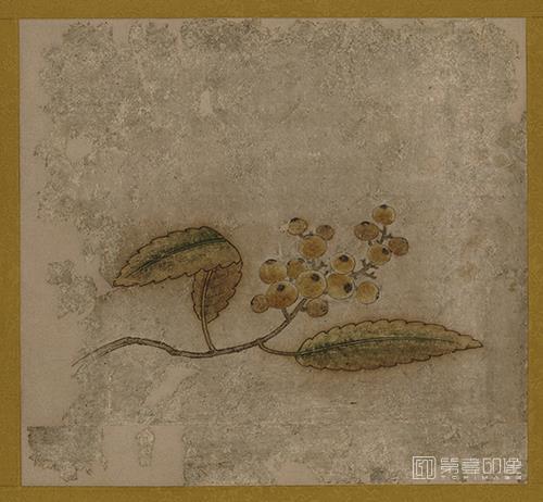 水彩画-日本室町时代-狩野元信-蔬果图-枇杷-40.1×43.8cm-02