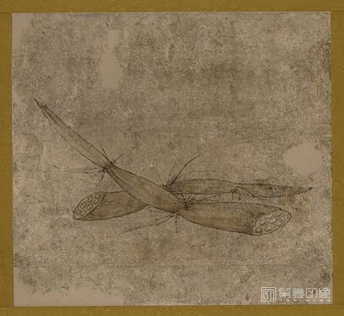 水彩画-日本室町时代-狩野元信-蔬果图-莲藕-39.9x43.8cm-04