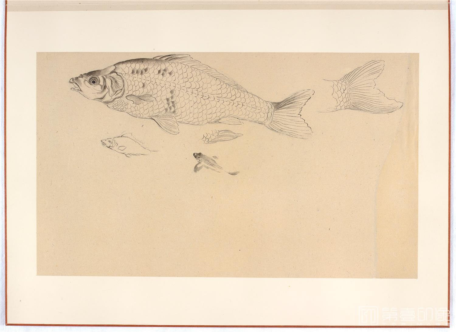 水彩画-日本-江户时代-杂画册-43.8x59.9cm-09