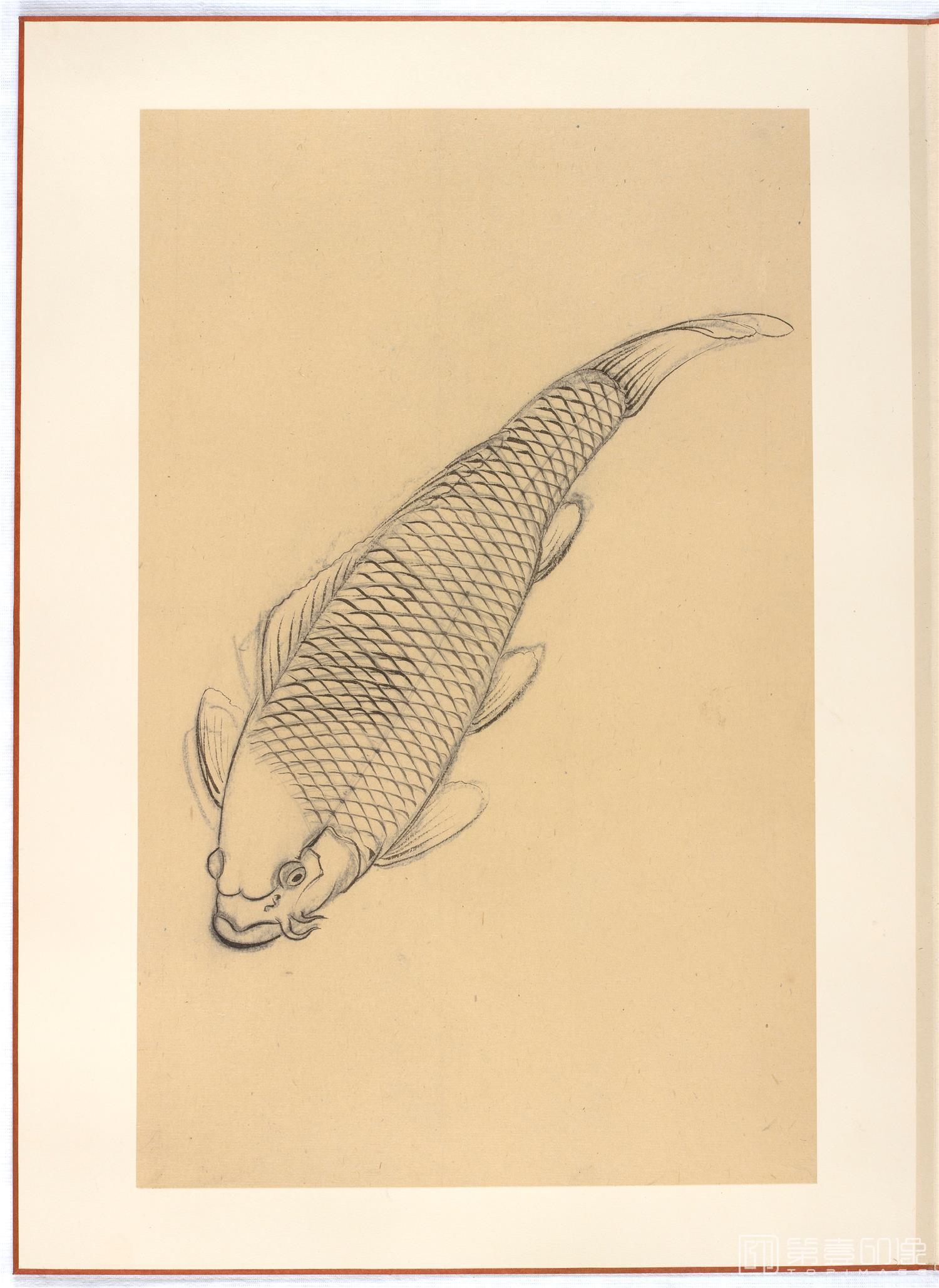 水彩画-日本-江户时代-杂画册-43.8x59.9cm-10