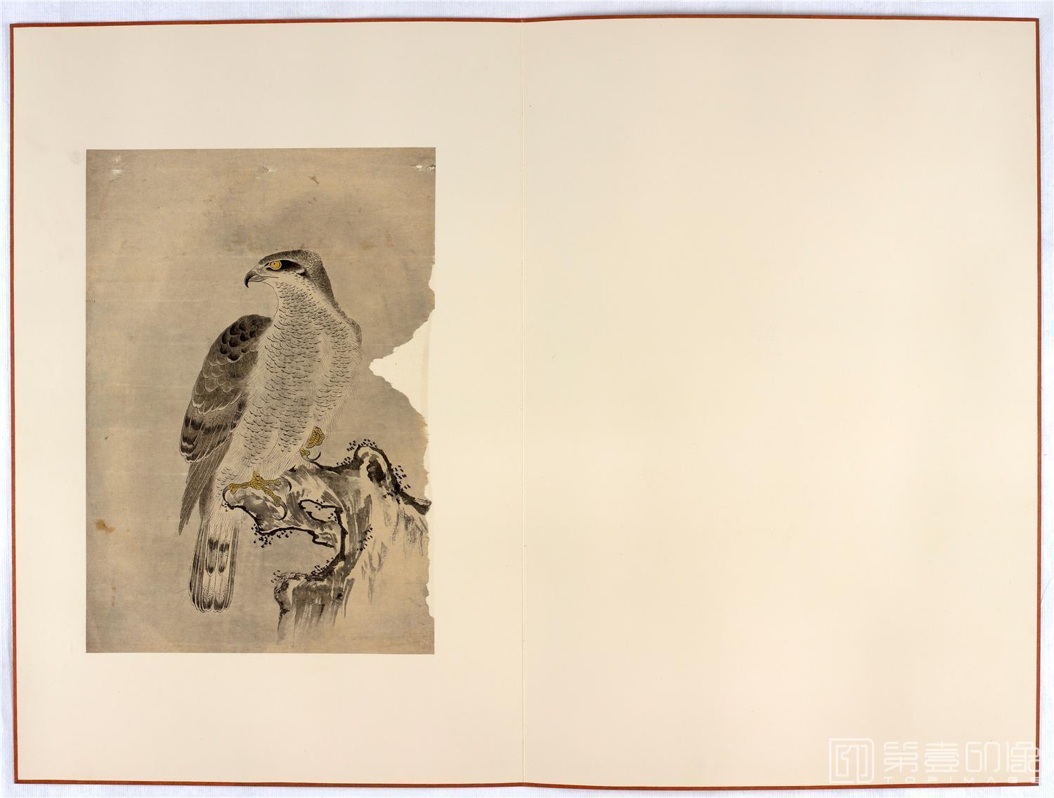 水彩画-日本-江户时代-杂画册-43.8x59.9cm-13