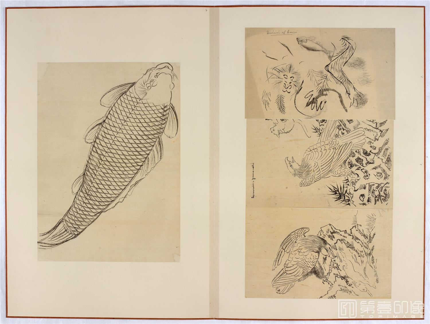 水彩画-日本-江户时代-杂画册-43.8x59.9cm-18