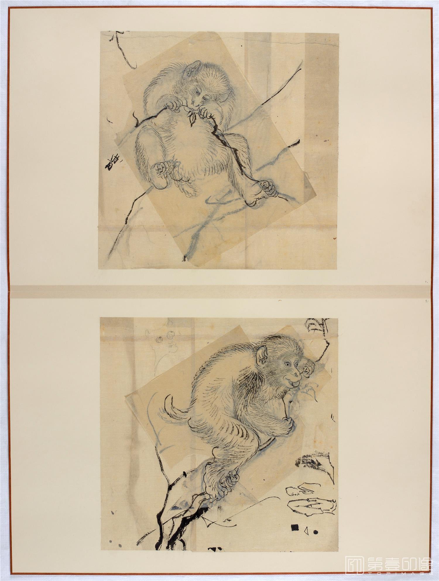 水彩画-日本-江户时代-杂画册-43.8x59.9cm-19