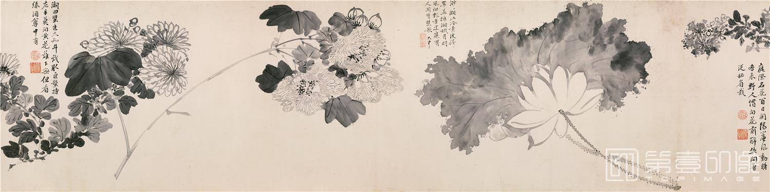国画-仿陈道复花卉-分段-04