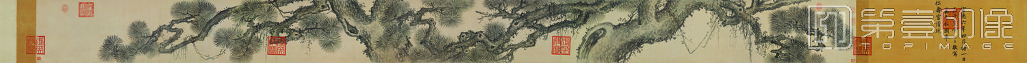 国画-万年松图卷