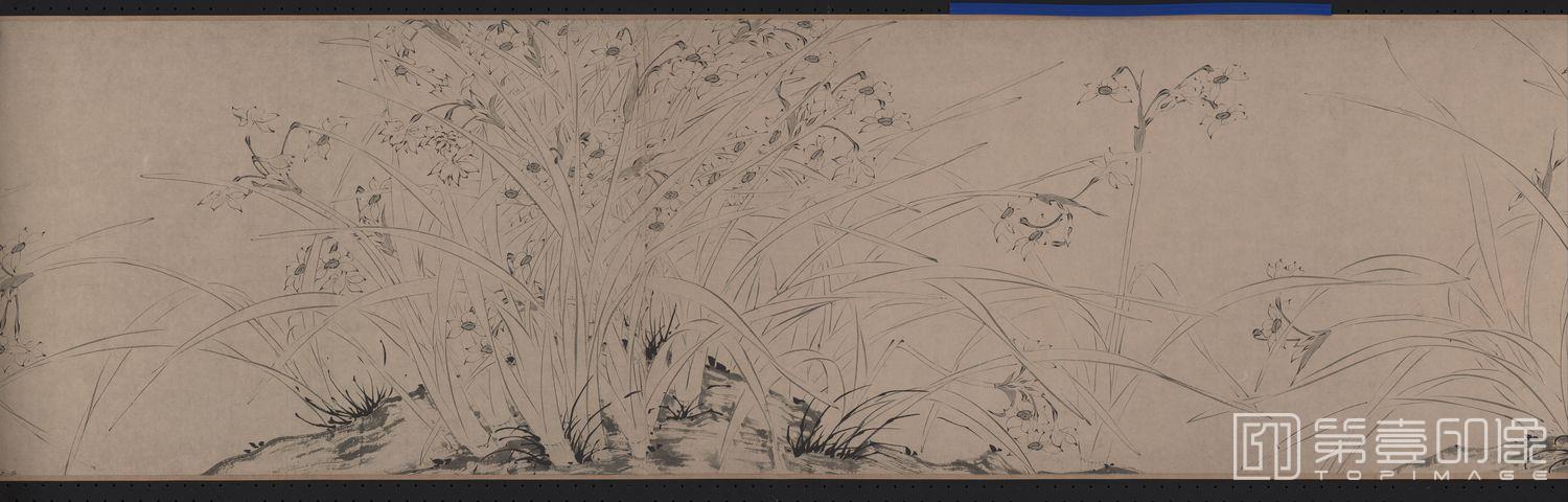 国画-仿赵孟坚水仙图-03