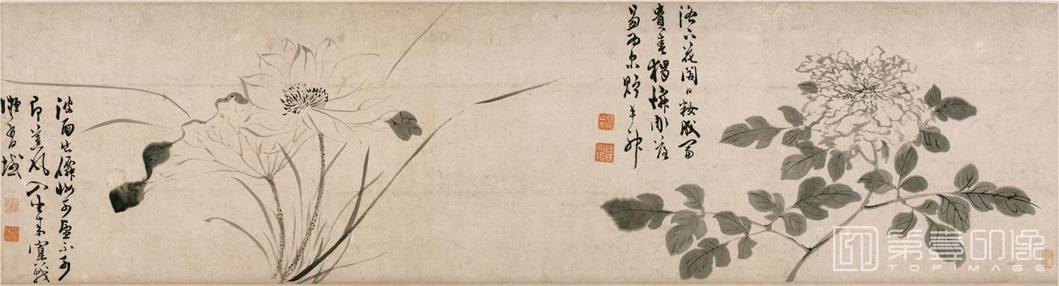 国画-墨笔花卉-分段-01