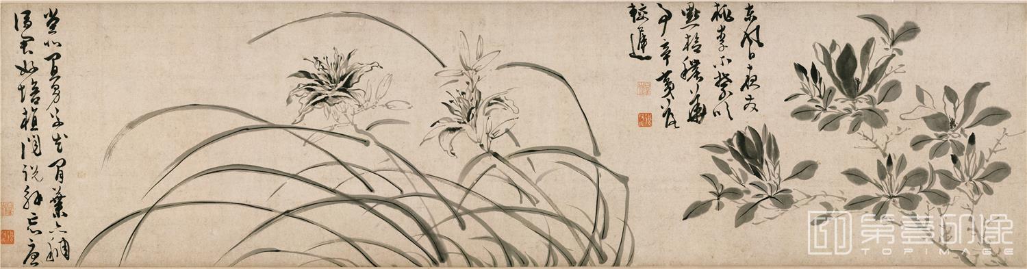 国画-墨笔花卉-分段-02