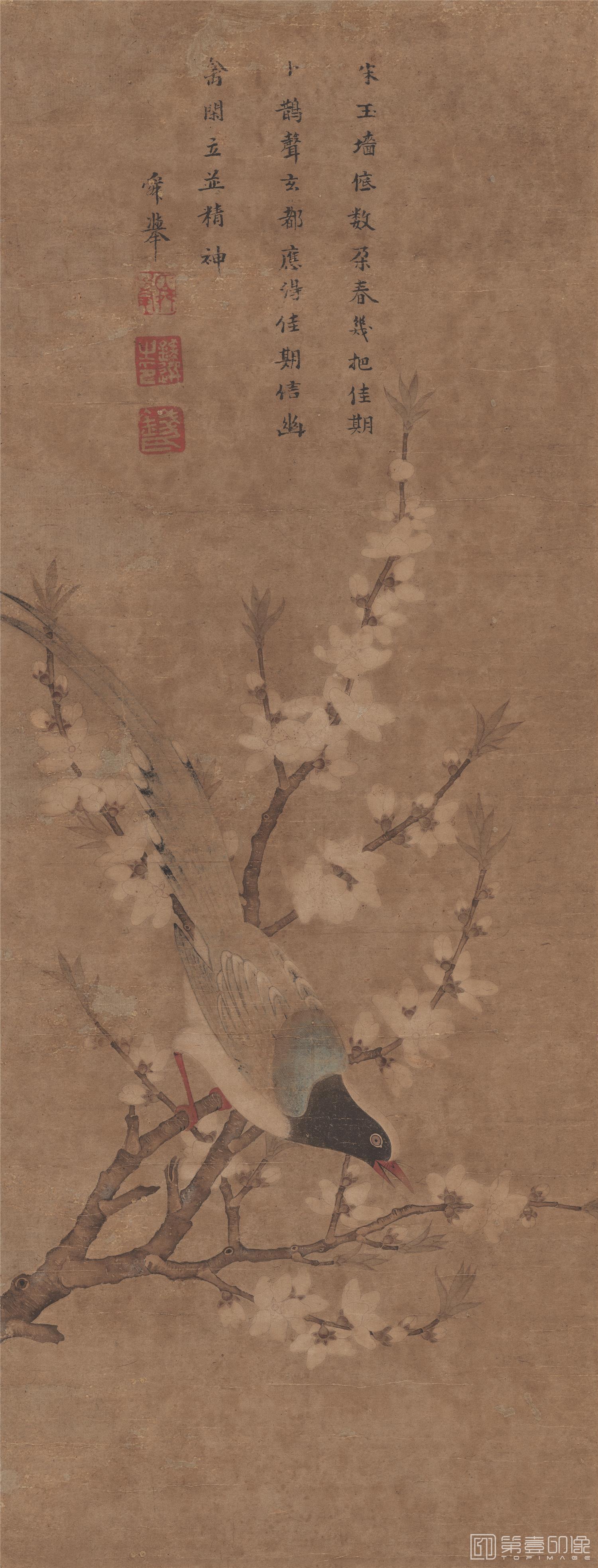 国画-瑞鹊图-31X81cm