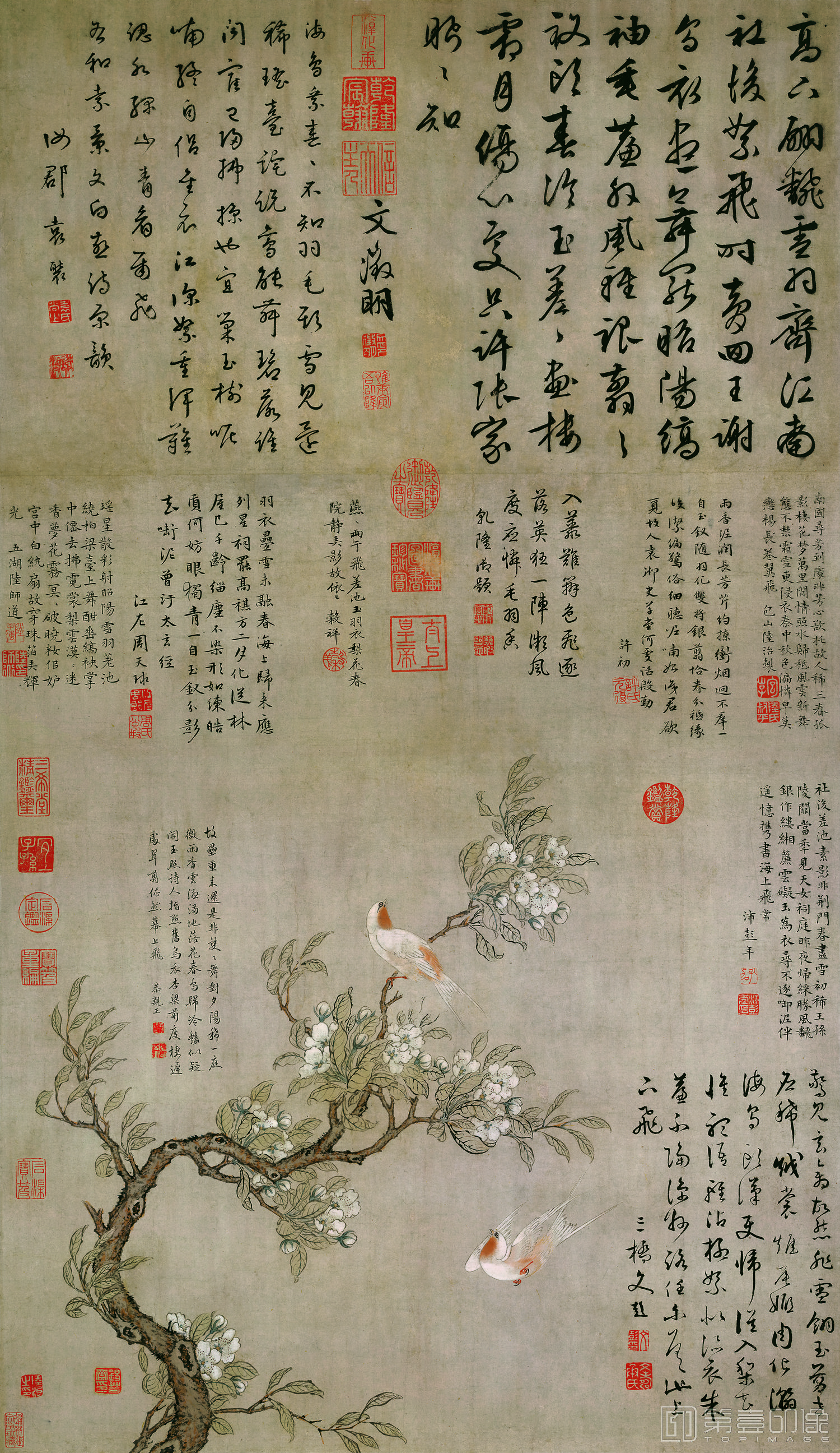 国画-梨花双燕图