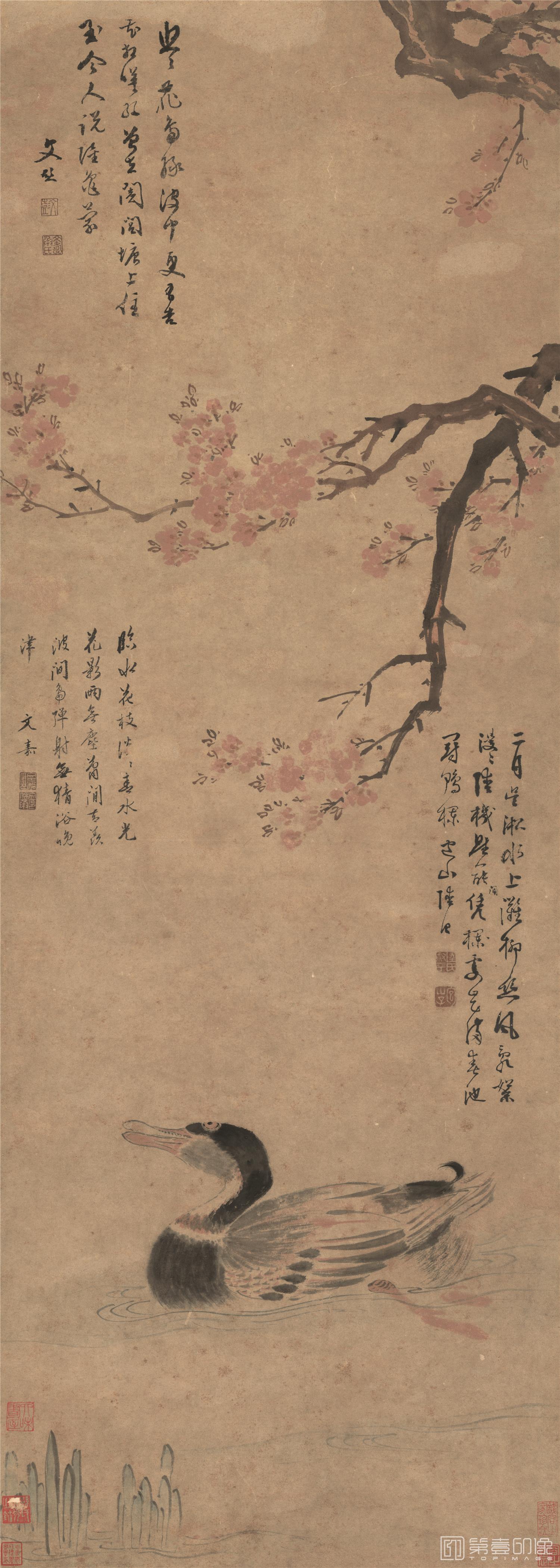 国画-红杏野凫图-42.4X118.9cm