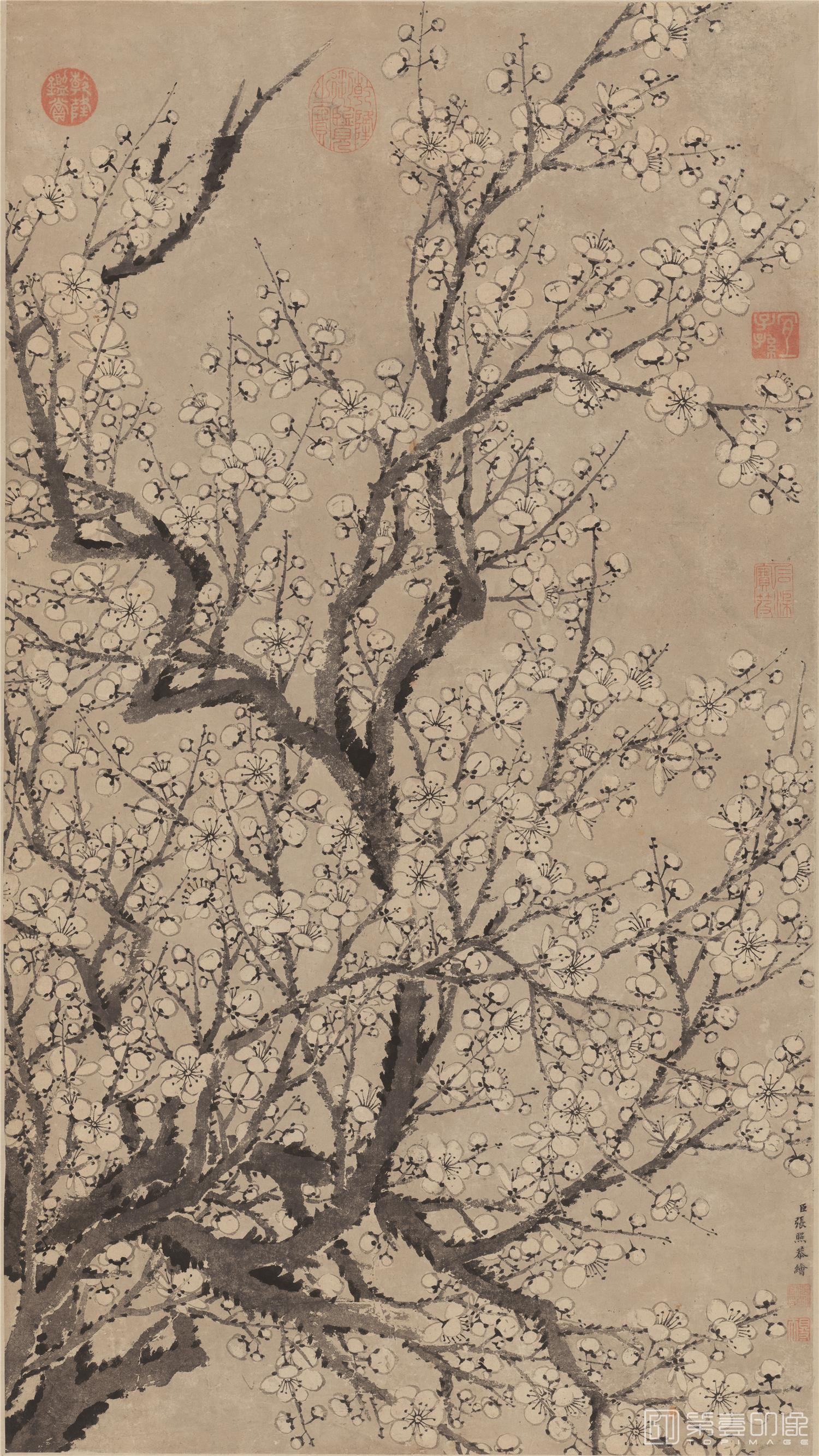 国画-墨梅-36.9X88cm