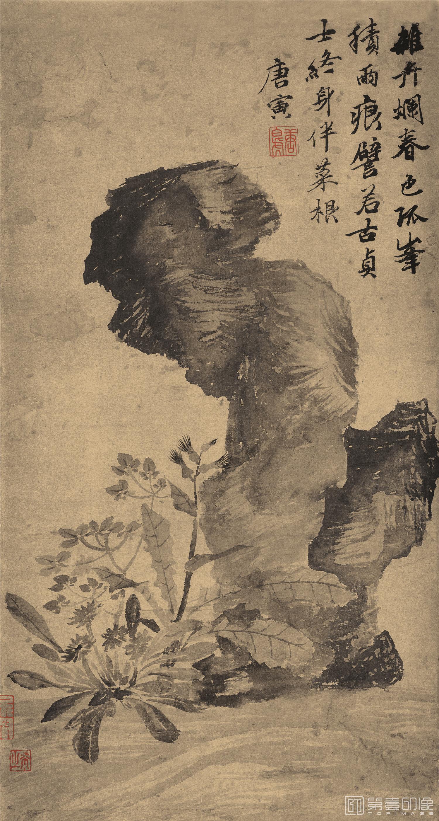 国画-立石丛卉图-28X53cm