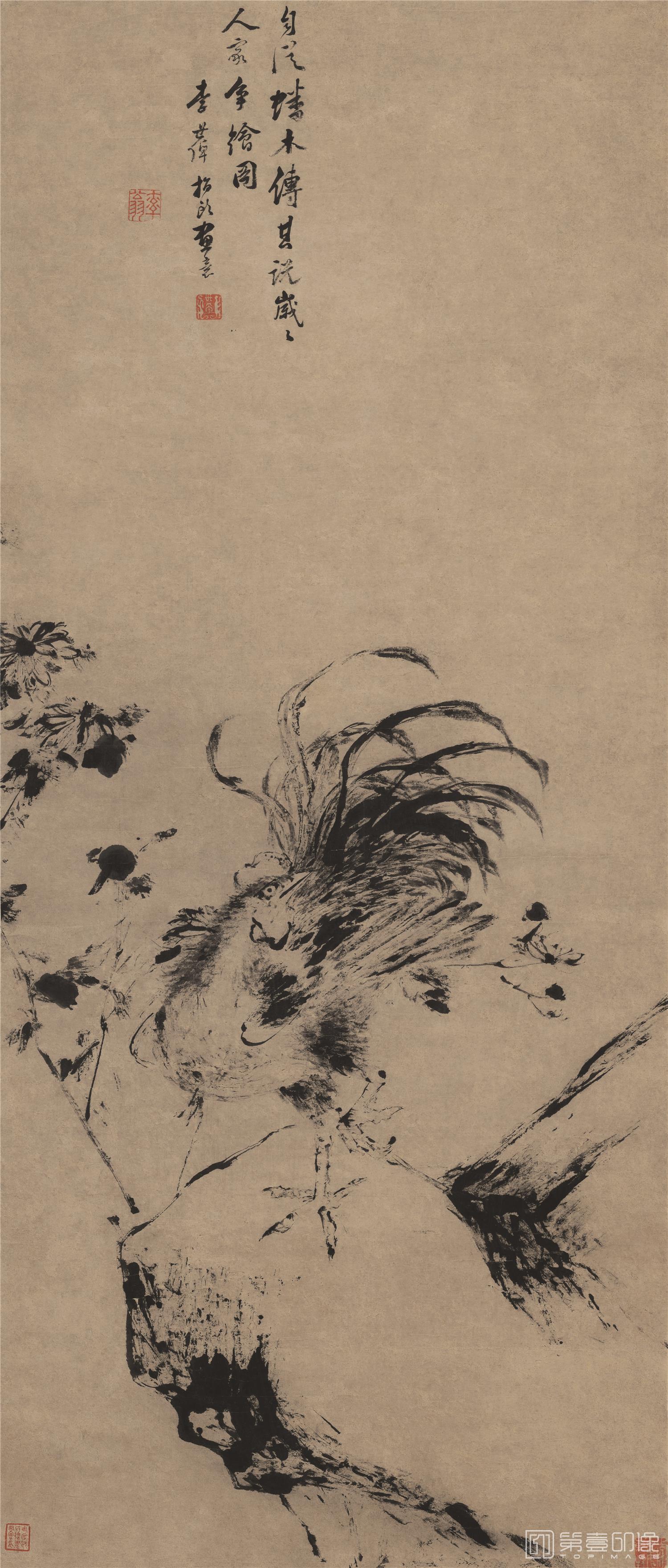 国画-指画雄鸡菊石图-43.8X102.7cm
