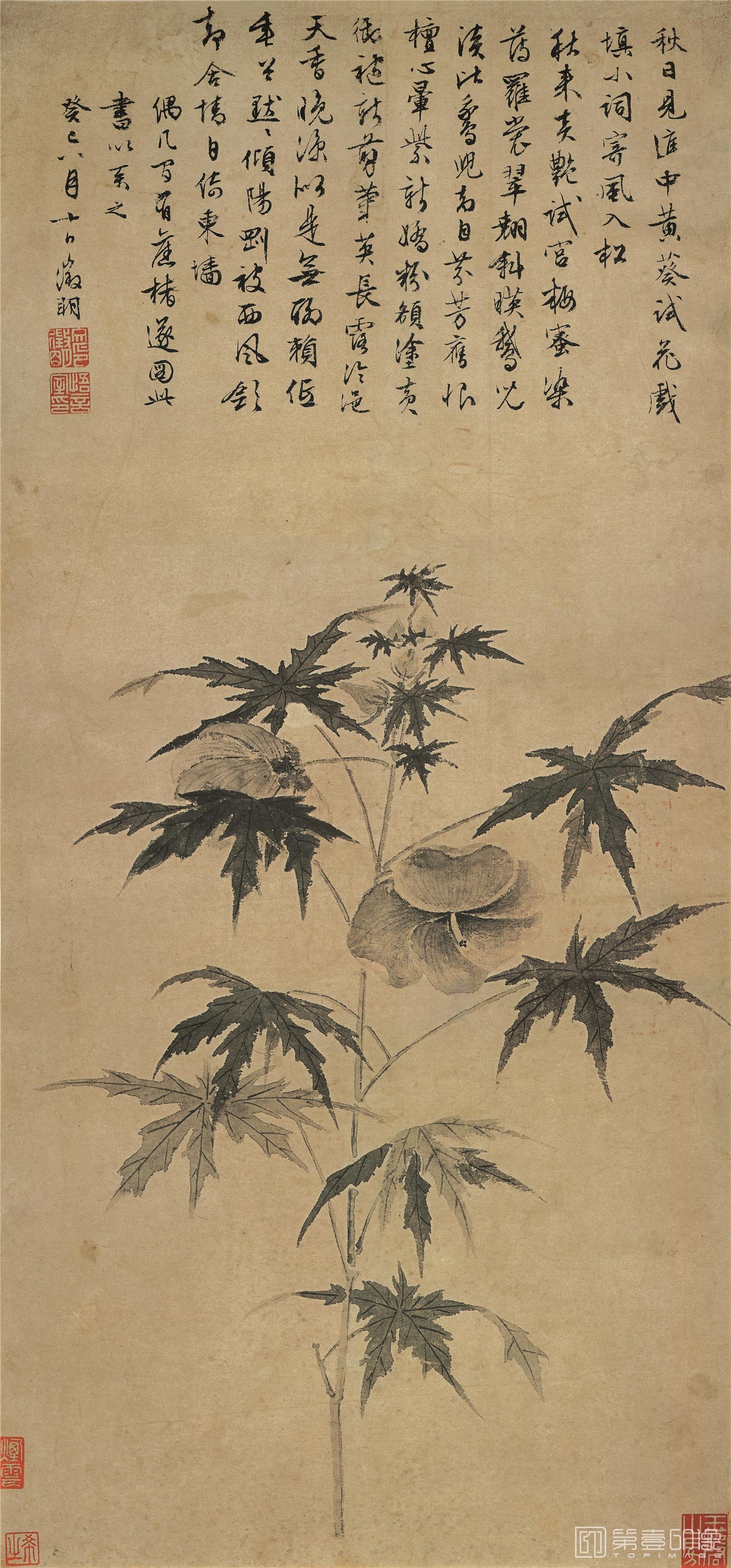 国画-秋葵折枝图-30X65cm