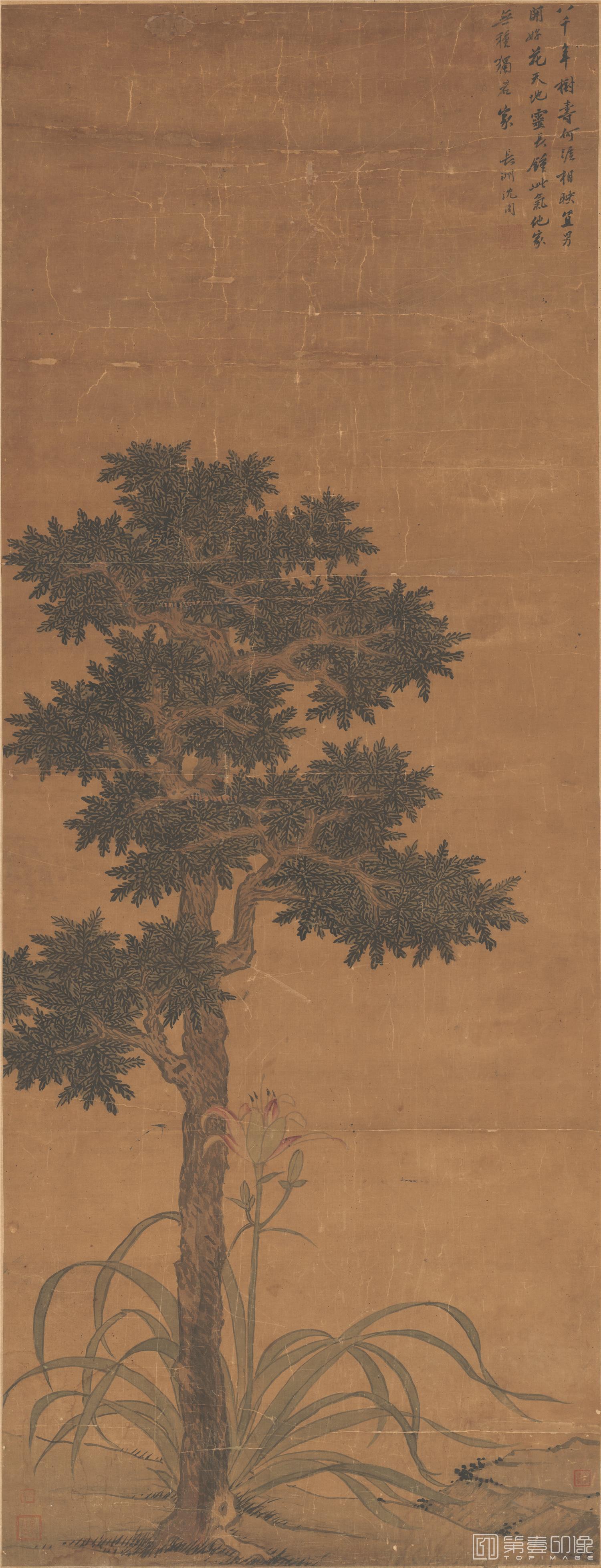 国画-椿萱并茂图-59X154.6cm