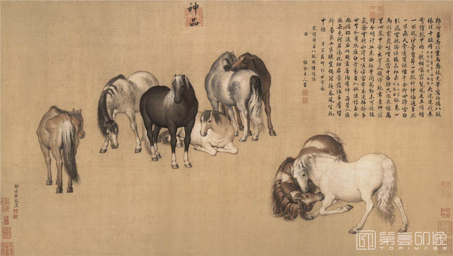 国画-八骏图-52.5X91.5cm