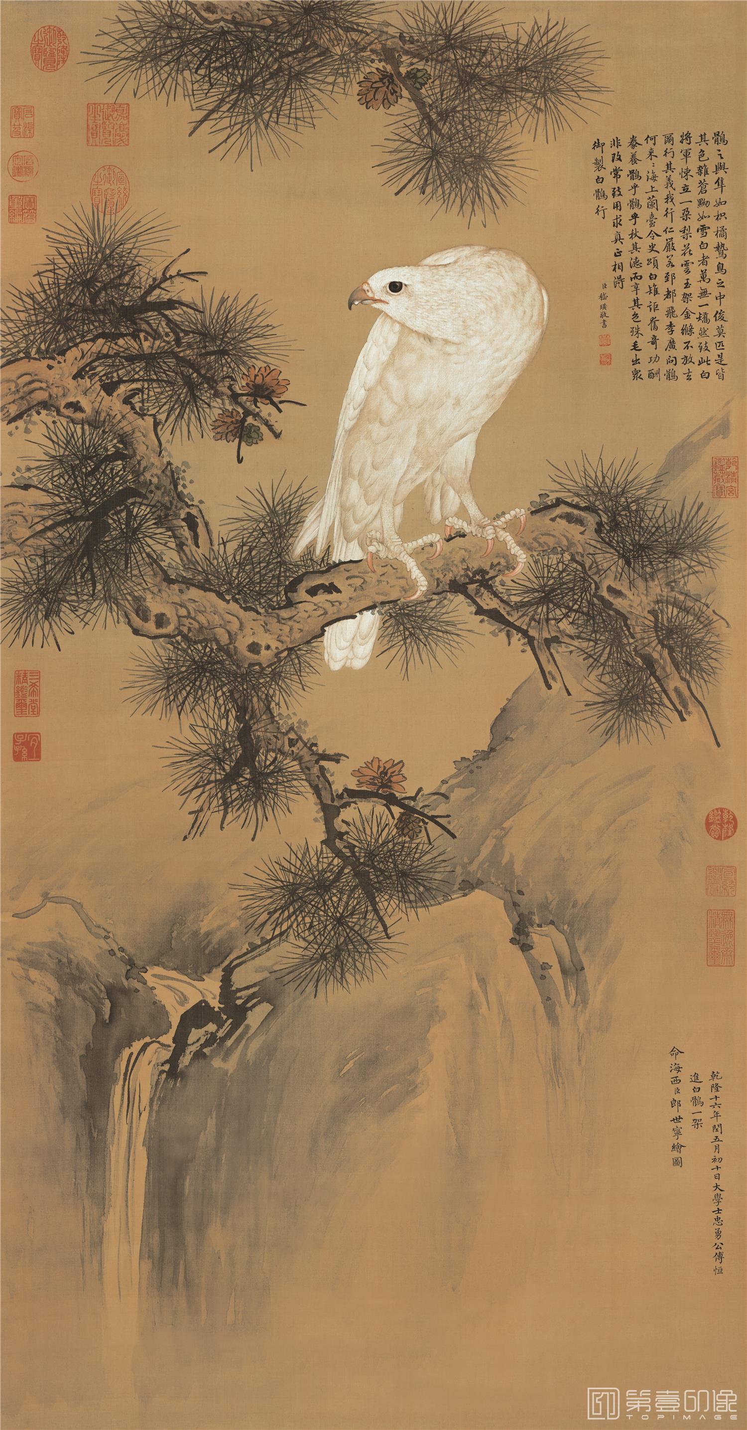 国画-白鹘图-64X121cm