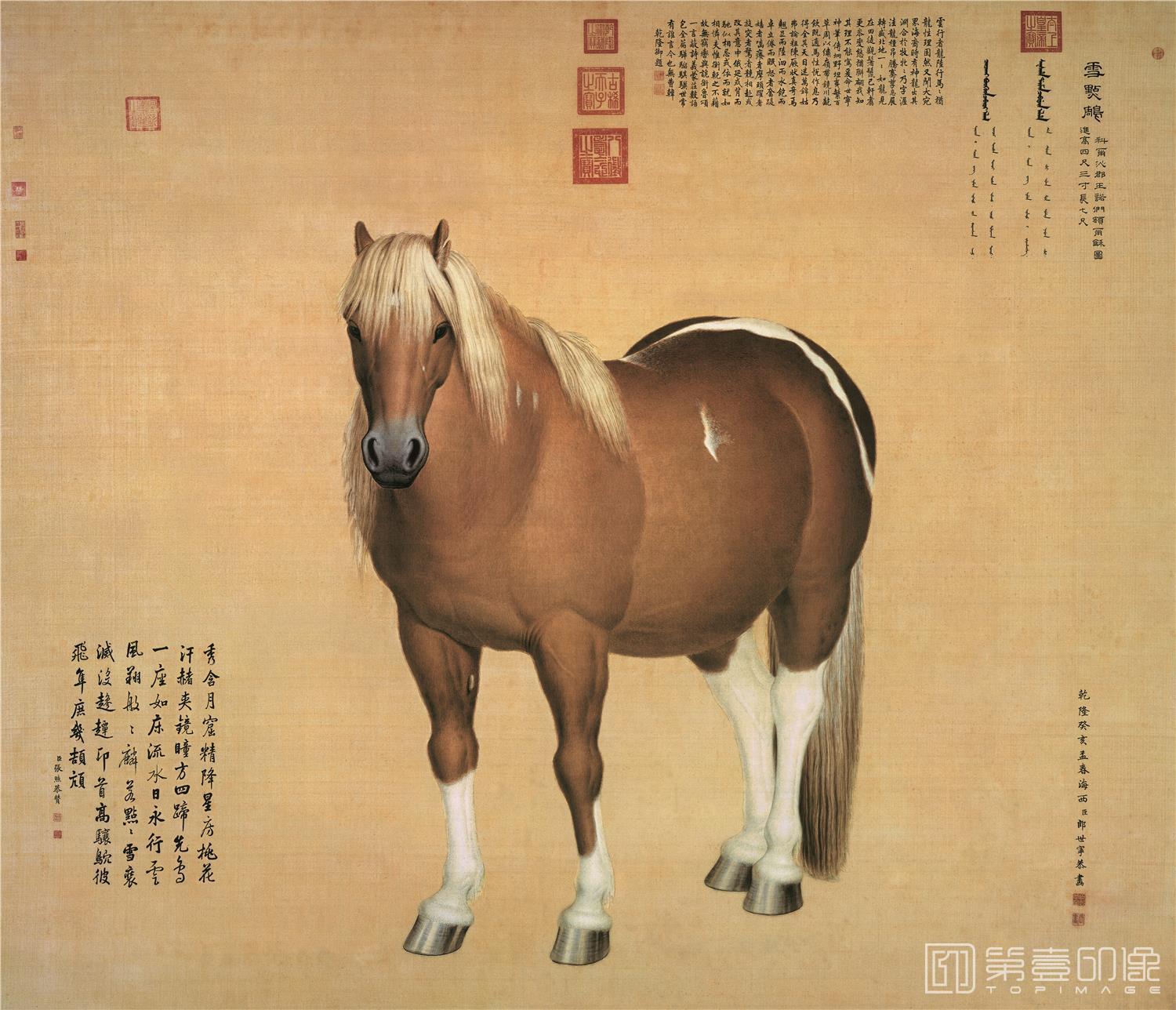 水彩画-雪点鵰