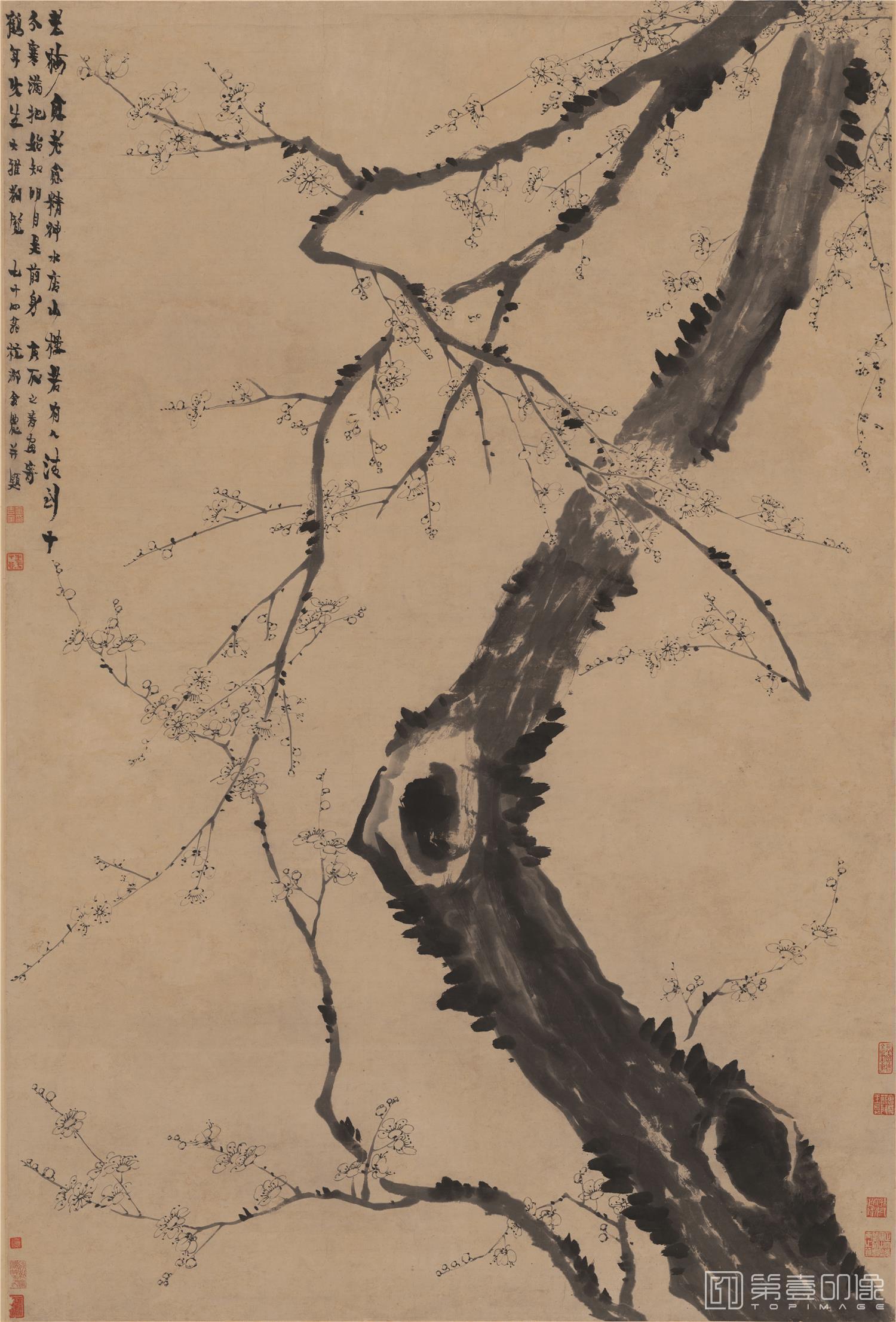国画-墨梅图