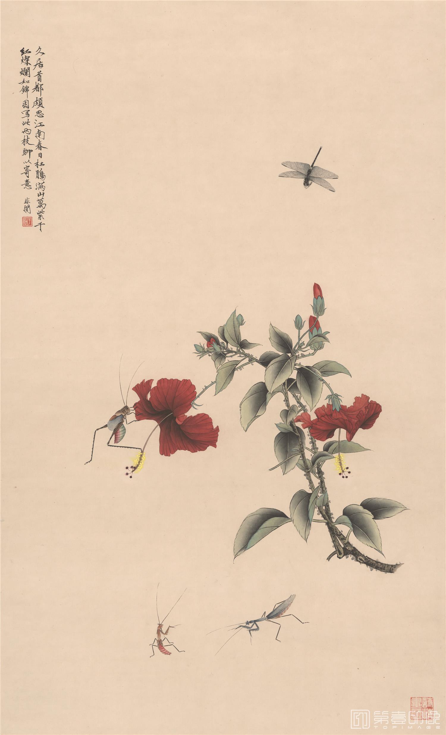 国画-蜻蜓点花