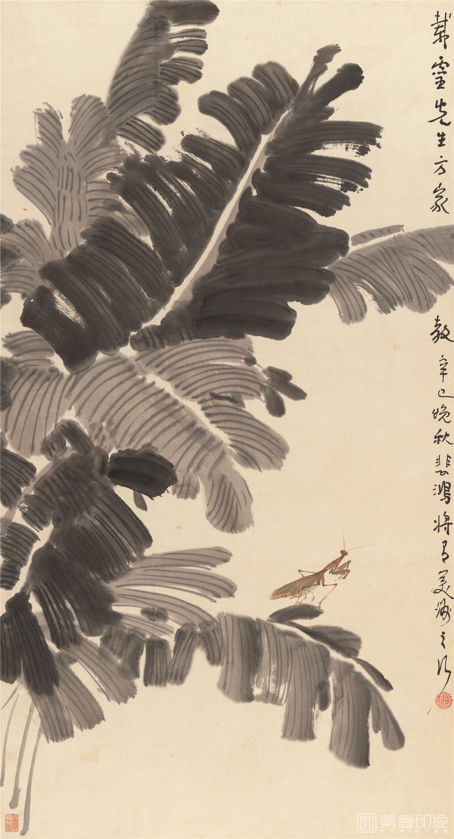 国画-芭蕉螳螂-51X94.7cm