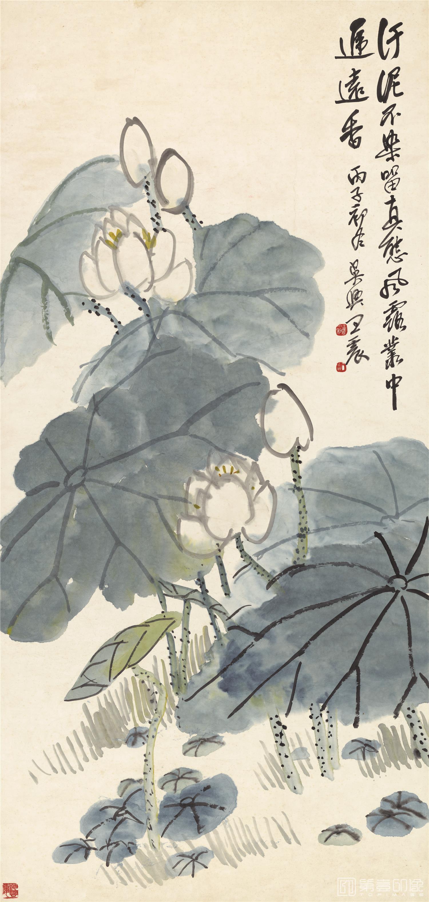 国画-荷花-55.4X116.4cm