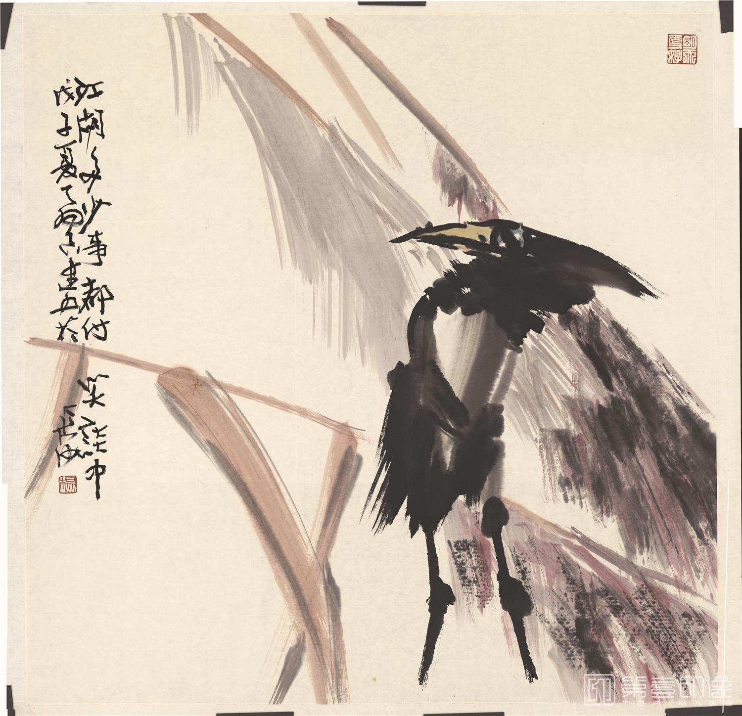 国画-乌鸦水墨